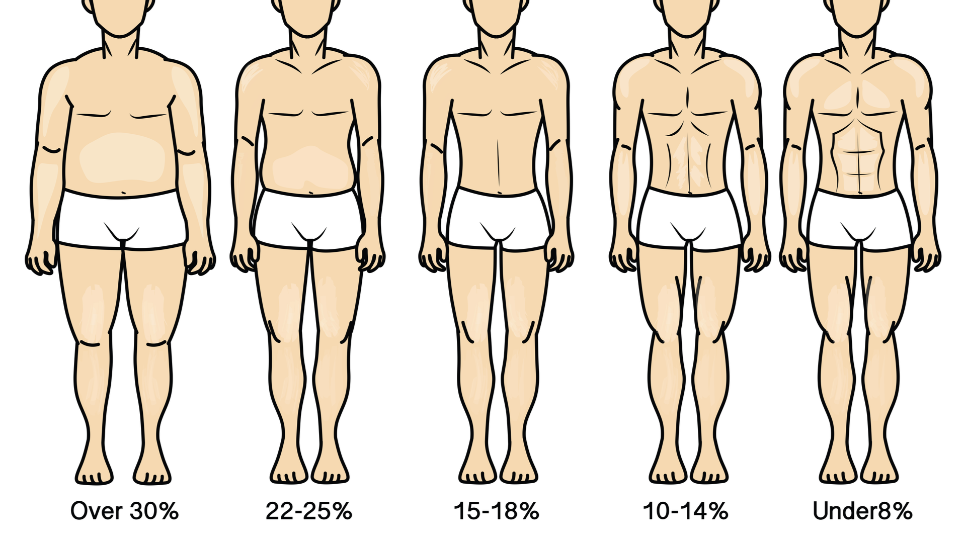 Какая часть тела увеличивается. Формы мужского тела. Типы мужских фигур. Процент жира в мужском организме. Форма тел.